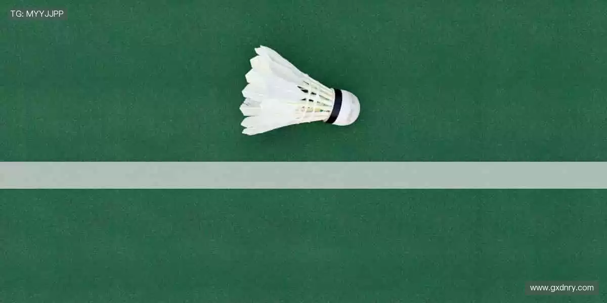 🏀 实时比分,尽在掌握!赛程动态更新,不错过任何逆转📊